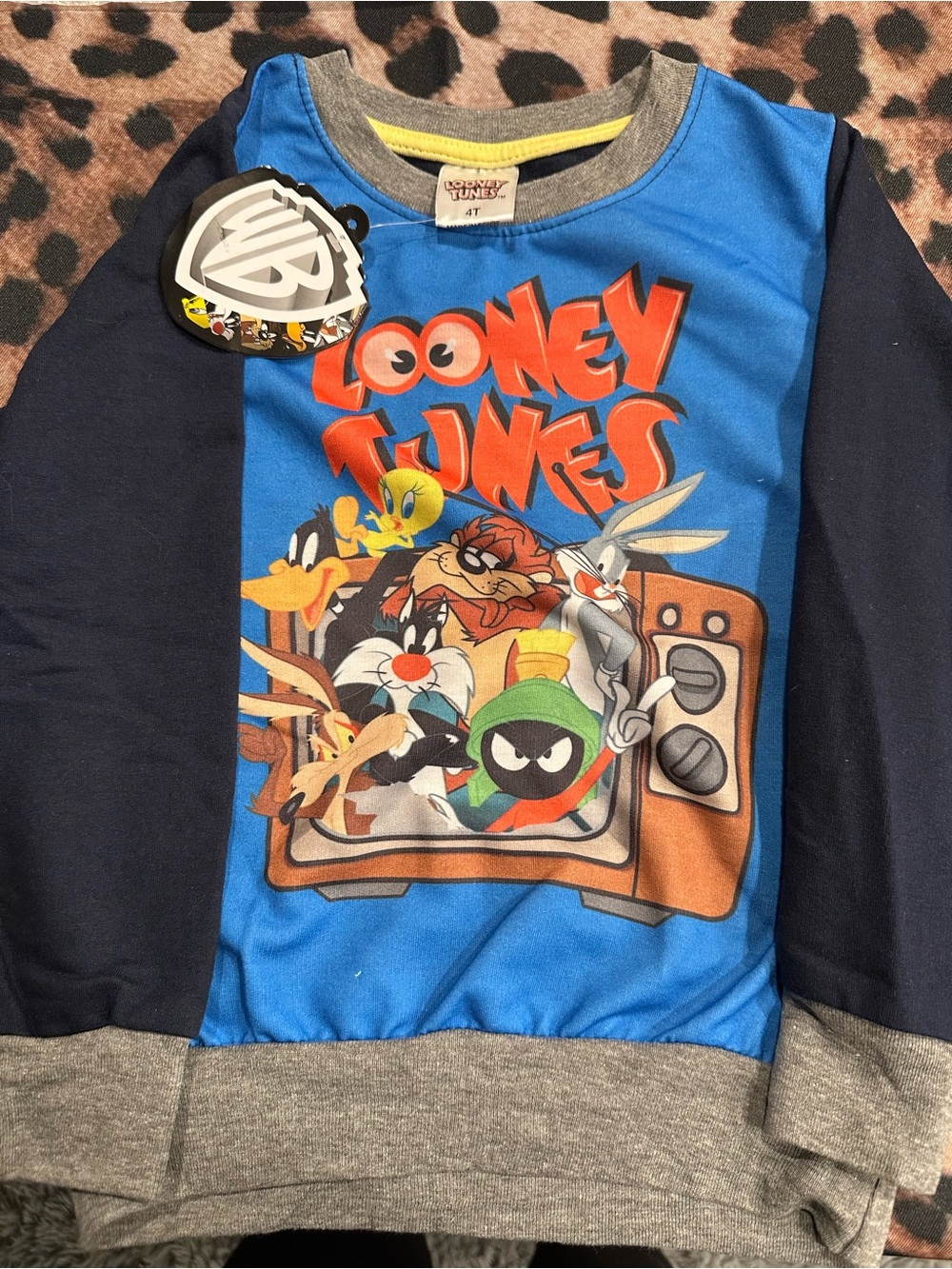 Warner Bros. Looney Tunes Blue & Navy Graphic Pullover Hoodie